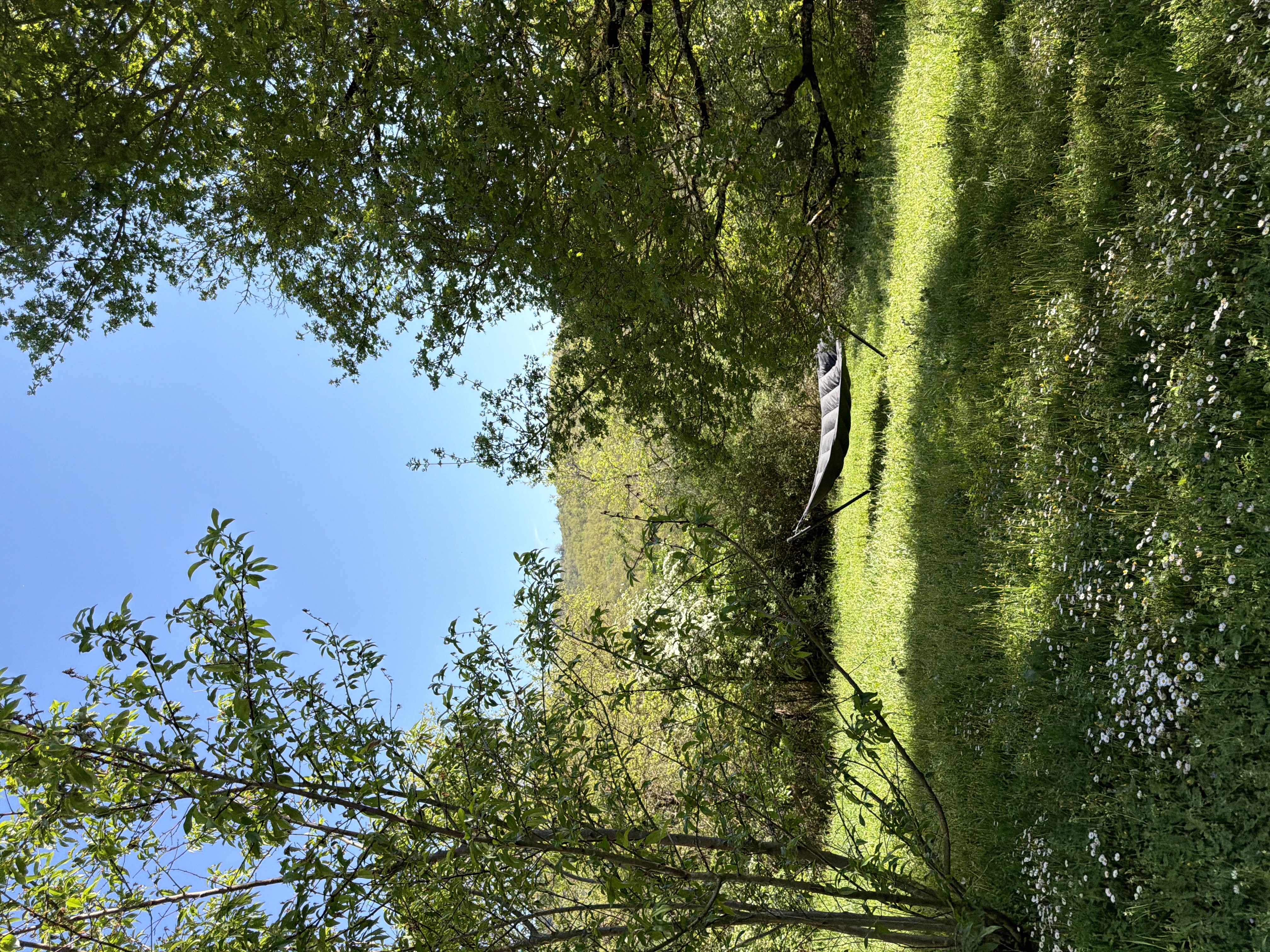 Hammock in lush garden meadow with wildflowers and dappled shade