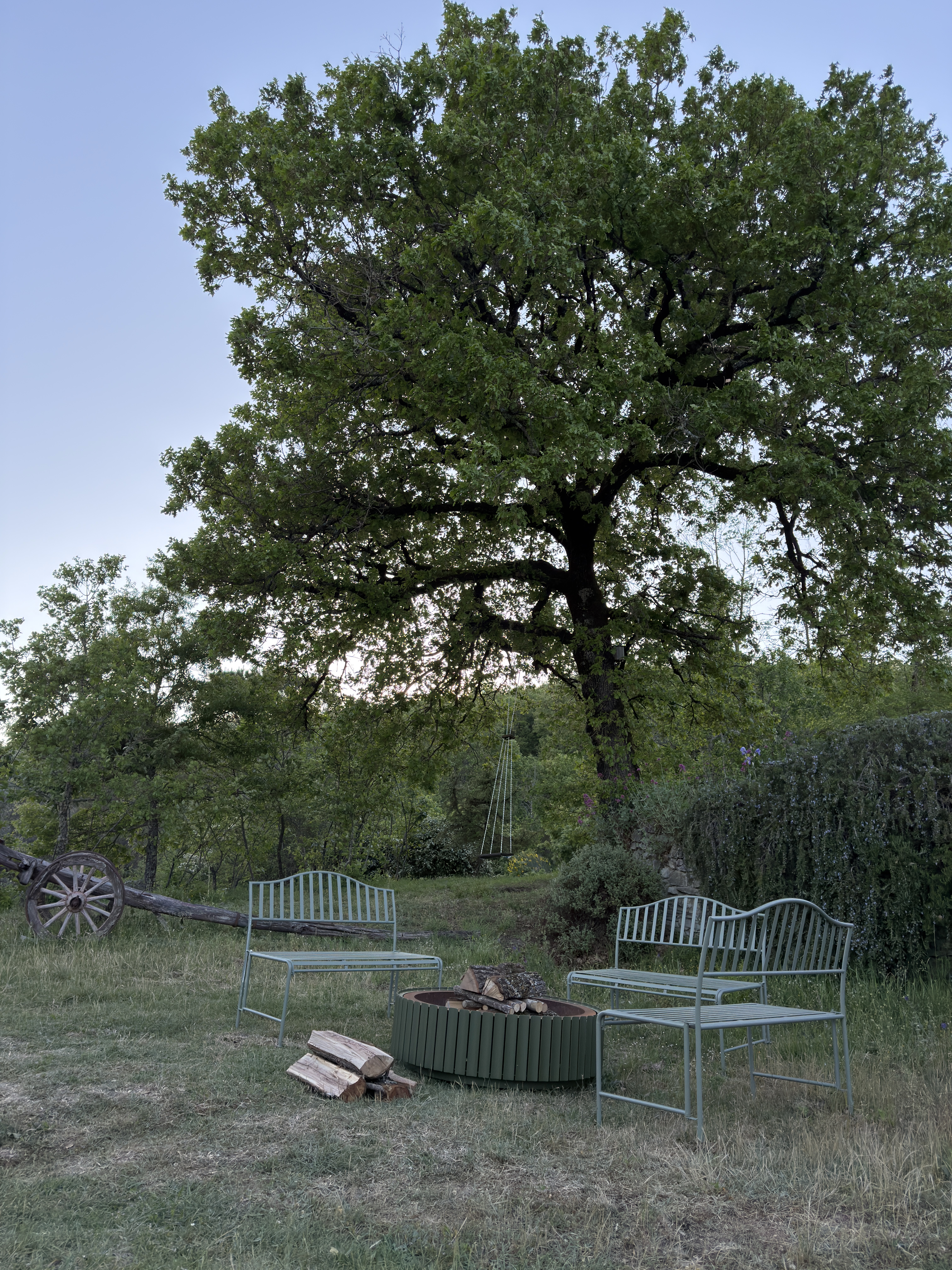 Fire pit area with green metal benches and oak tree at dusk
